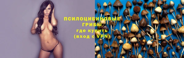 амф Арсеньев