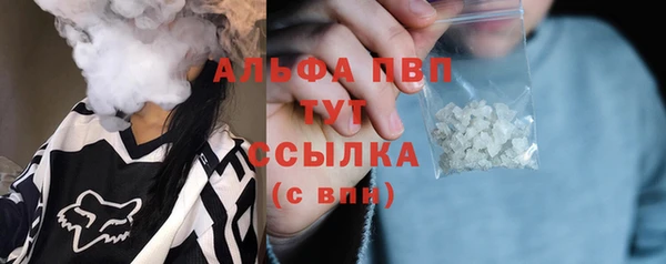 амф Арсеньев