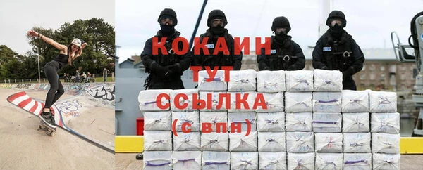 амф Арсеньев