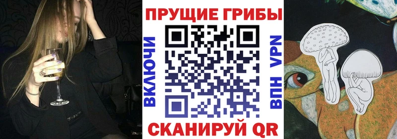 Купить где  Печора  Галлюциногенные грибы мицелий 
